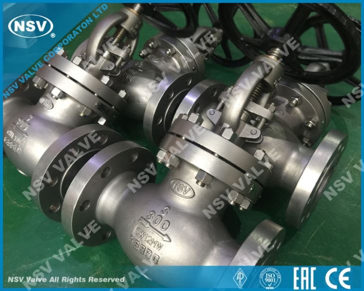 A494 CW12MW Globe Valve