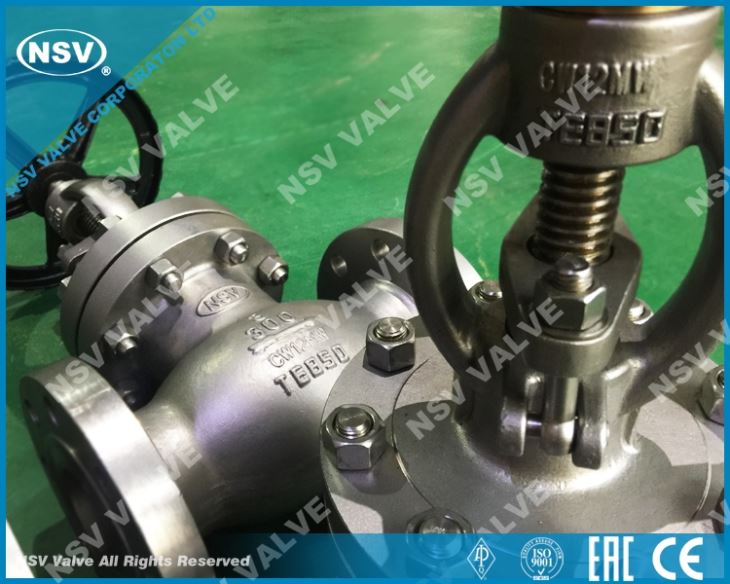 A494 CW12MW Globe Valve
