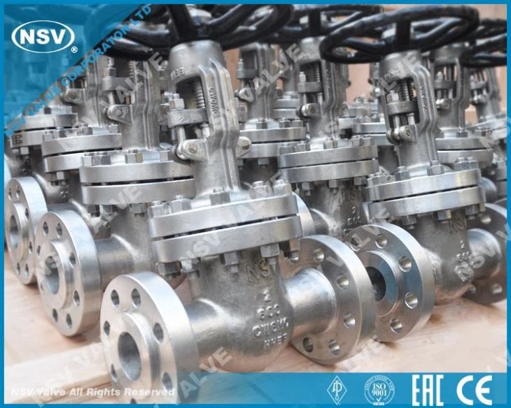 A494 CW6MC Gate Valve