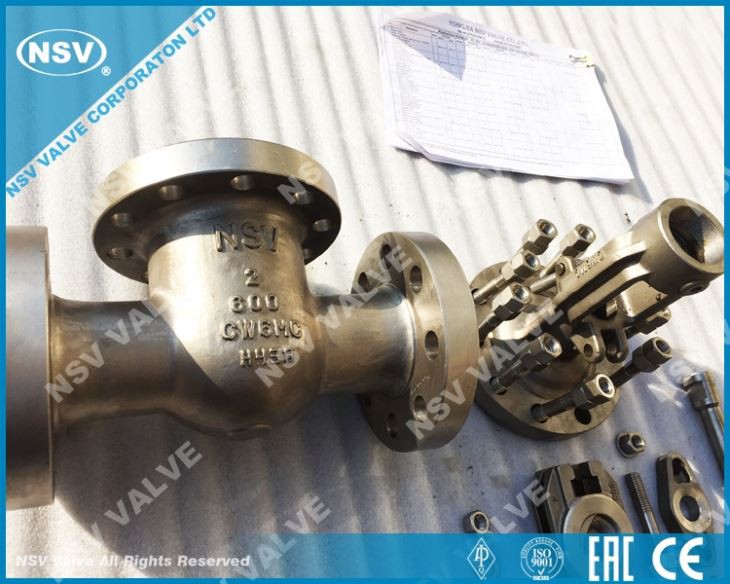 A494 CW6MC Gate Valve