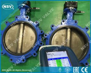 Hastelloy C22 Butterfly Valve