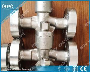 Saudi Arabia Stainless Valve Injection Fitting Vent Cup Long Pattern