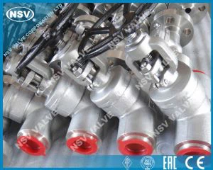 WB Forged Gate Valve