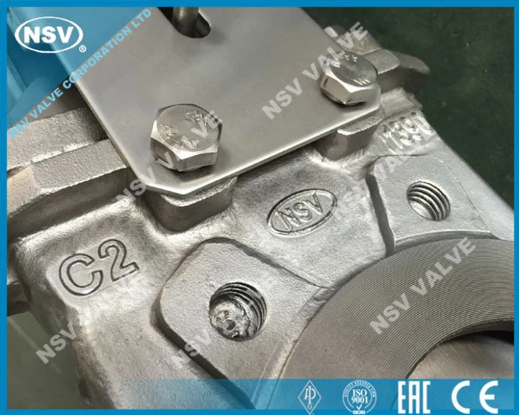 Unidirectional Knife Gate Valve Replaceable Seat