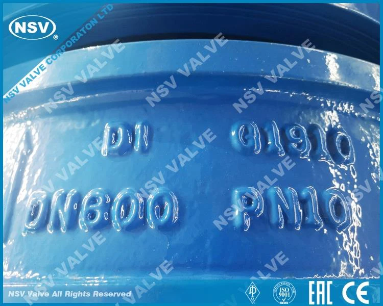 Dual Plate Check Valve-24inch