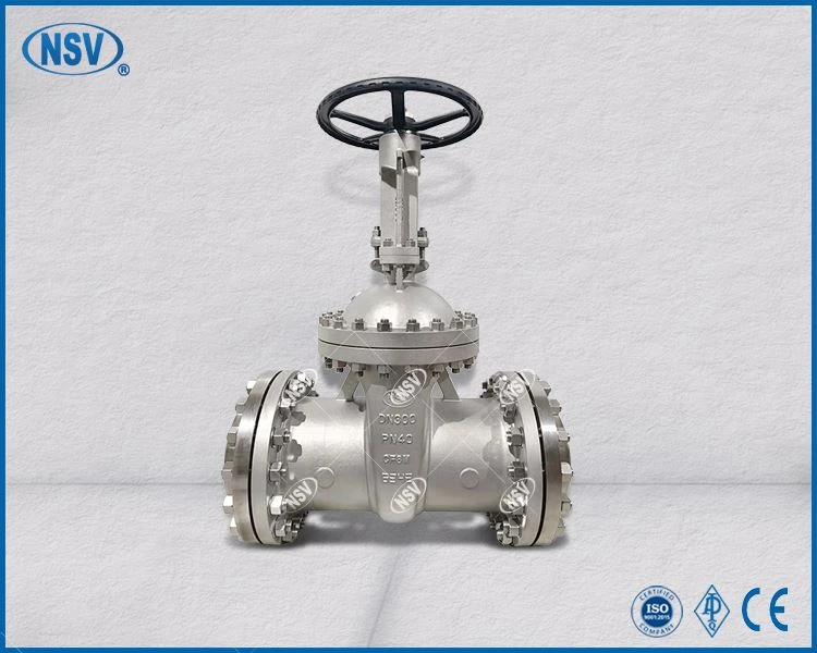 CF8M Gate Valve With Counter Flange