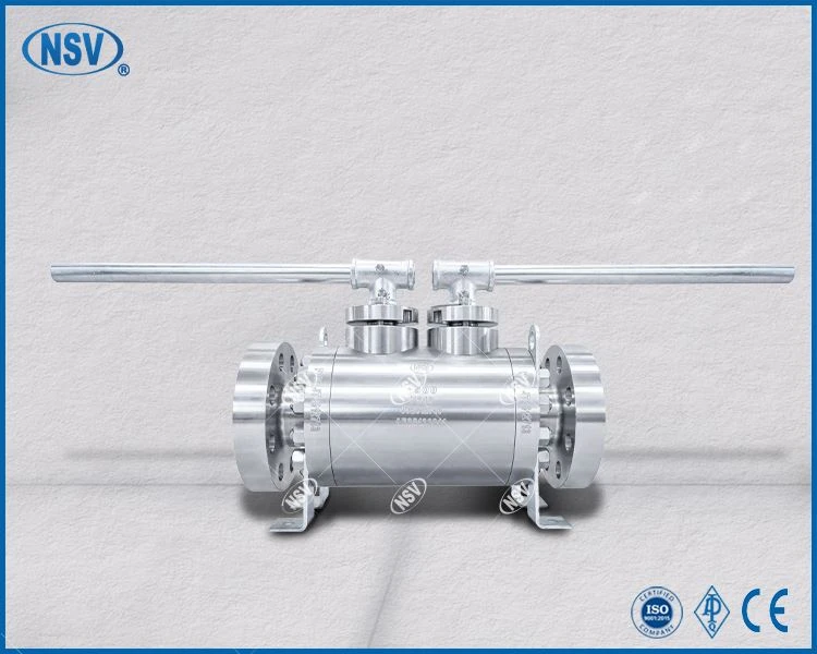 F316 DBB Forged Steel Ball Valve