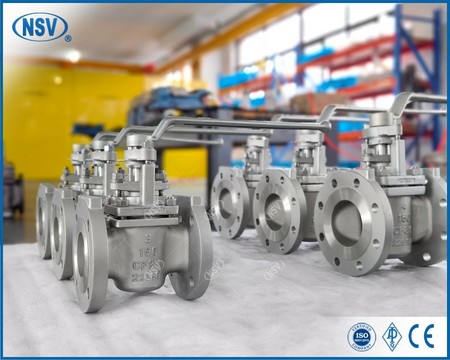 IMG20230424144924 IMG20230424144924