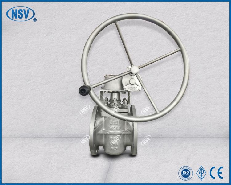 NSV Integral UB6 Plug Valve