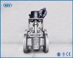 Double Gland Titanium Plug Valve