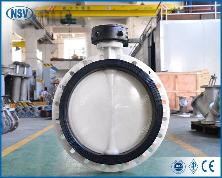 PVDF Butterfly Valve suppliers