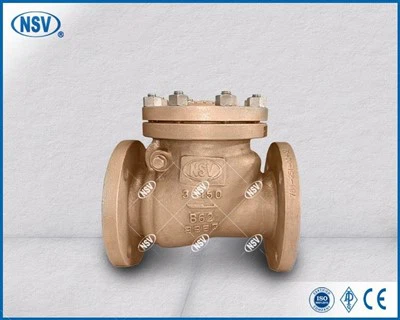 B62 Swing Check Valve