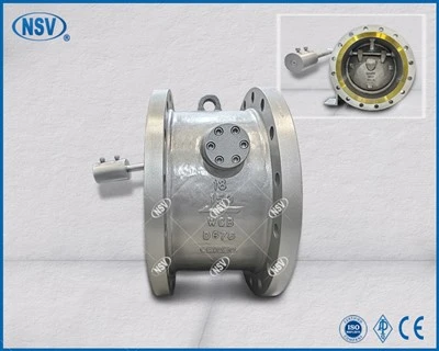 WCB Counterweight Check Valve