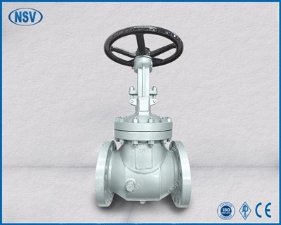 WCB Jacketed Gate Valve